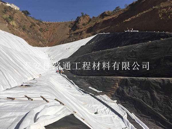 垃圾填埋場(chǎng)防滲膜鋪設(shè)選擇技巧:新穎視角下的考量 垃圾填埋場(chǎng)防滲膜鋪設(shè)選擇技巧:新穎視角下的考量