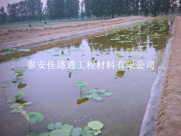 養(yǎng)殖防滲膜施工別大意，這些控制要點要抓實